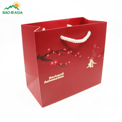 Túi Giấy Đựng Quà Tết