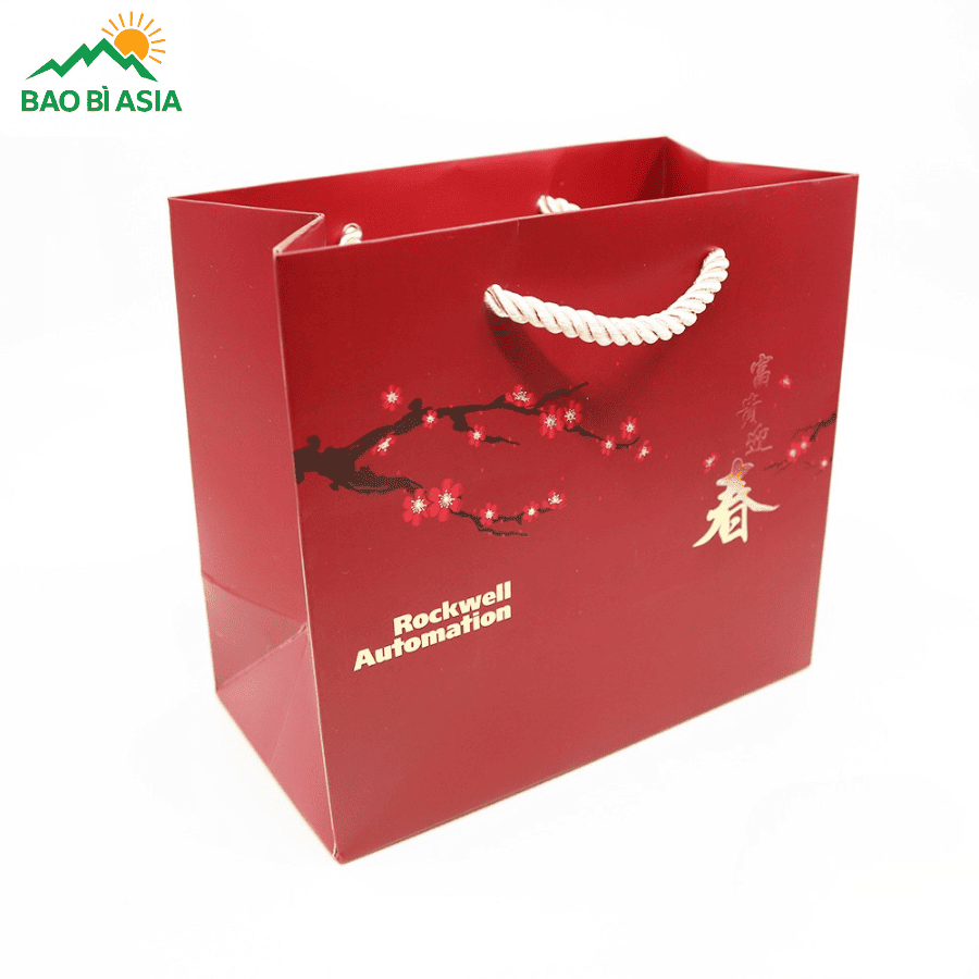 Túi giấy đựng quà Tết đẹp mẫu 42