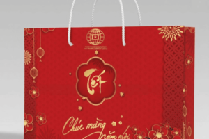 Túi giấy đựng quà Tết đẹp mẫu 50