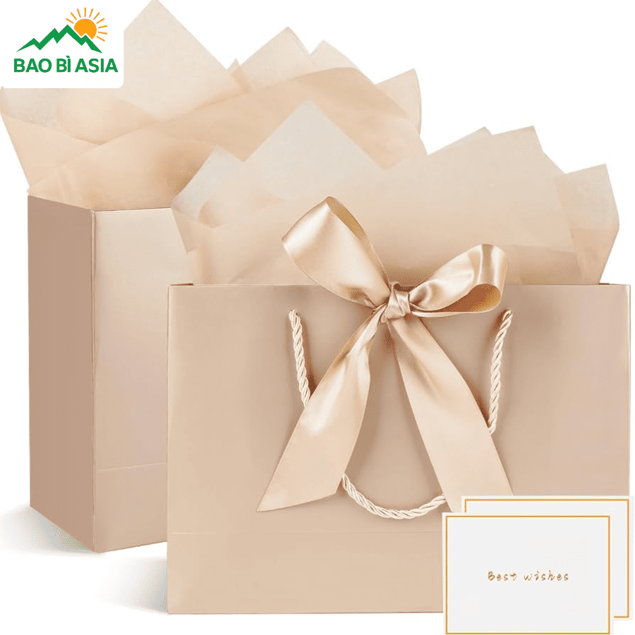 Túi giấy đựng quà Tết đẹp mẫu 9