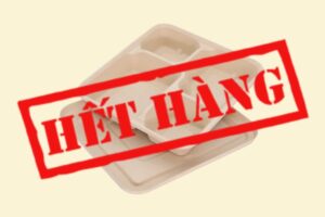 Hộp bã mía 4 ngăn (size 20x25cm)