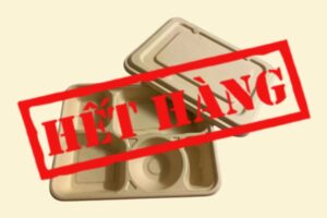 Hộp bã mía 5 ngăn (size 22x28cm)