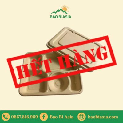 Hộp bã mía 5 ngăn (size 22x28cm)