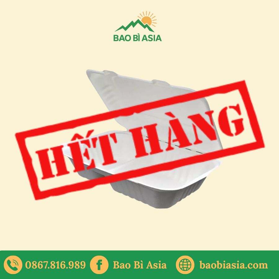 Hộp vỏ sò bã mía 8 inch (20x20cm) 1 ngăn