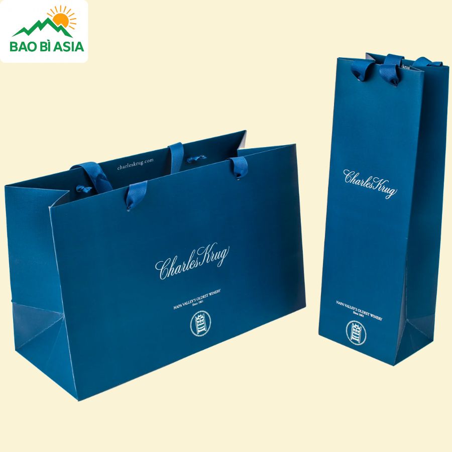 Túi giấy đẹp mẫu 12