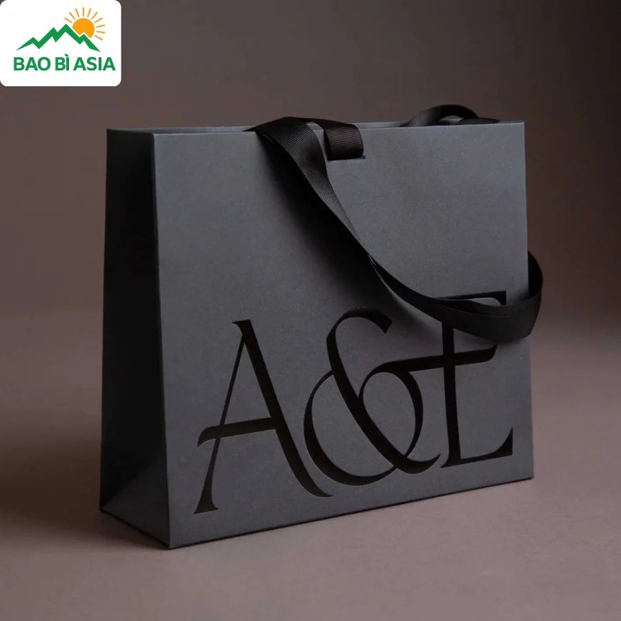 Túi giấy đẹp mẫu 16