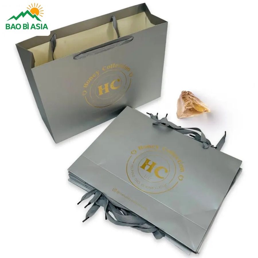 Túi giấy đẹp mẫu 19