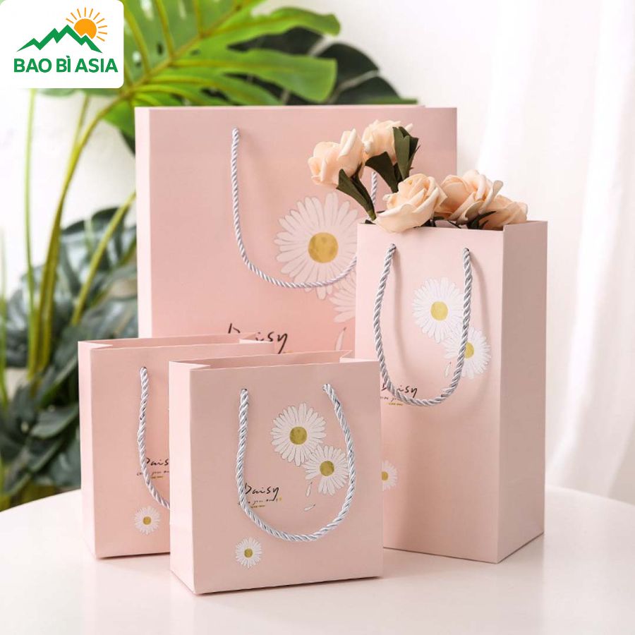 Túi giấy đẹp mẫu 6