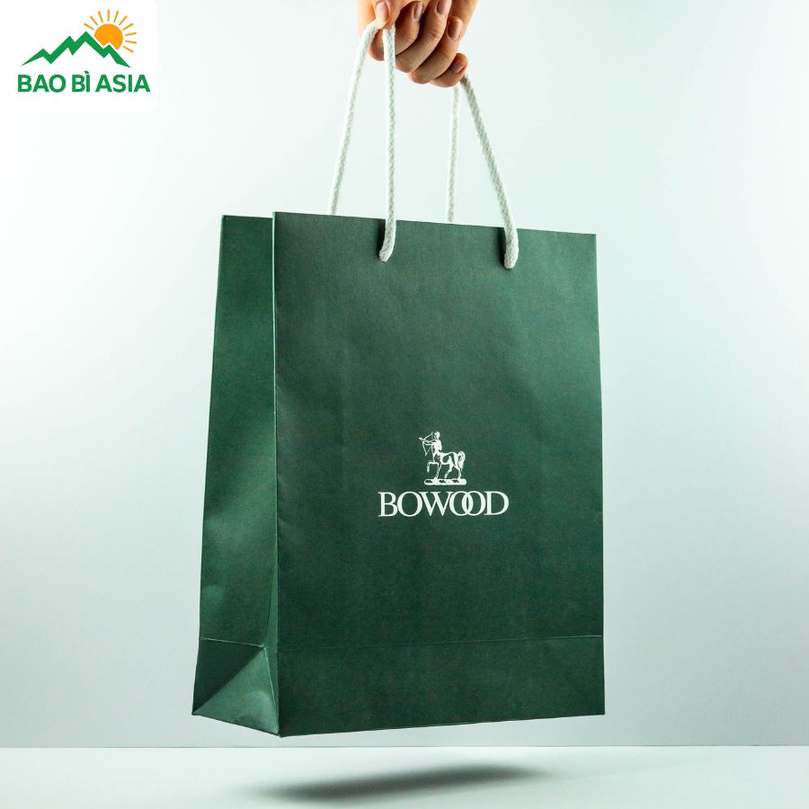 Túi giấy đẹp mẫu 8
