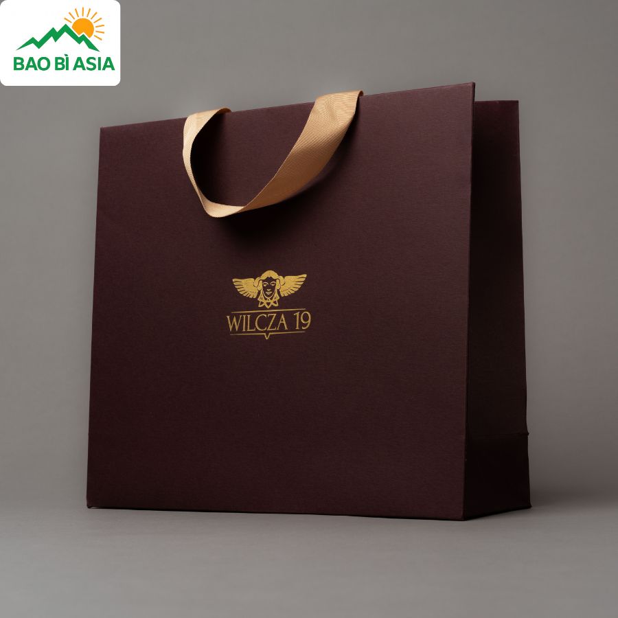 Túi giấy đẹp mẫu 9