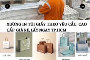 AVT xưởng in túi giấy theo yêu cầu
