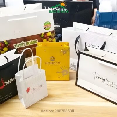 Xưởng In Túi Giấy Theo Yêu Cầu, Cao Cấp, Giá Rẻ, Lấy Ngay TP.HCM