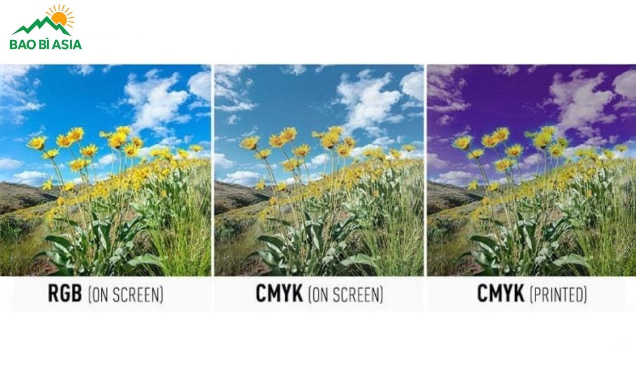 Hệ màu sử dụng