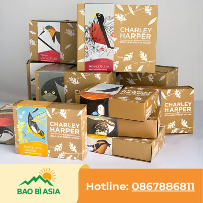 Xưởng In Hộp Giấy Theo Yêu Cầu, Cao Cấp, Giá Rẻ Nhất Tại TP.HCM