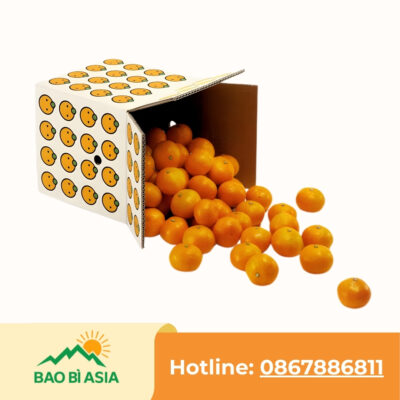 Xưởng In Hộp Giấy Theo Yêu Cầu, Cao Cấp, Giá Rẻ Nhất Tại TP.HCM