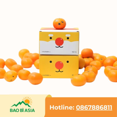 Xưởng In Hộp Giấy Theo Yêu Cầu, Cao Cấp, Giá Rẻ Nhất Tại TP.HCM