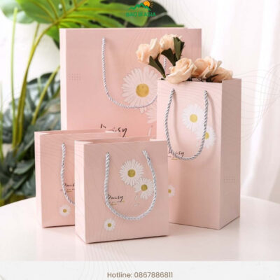 Xưởng In Túi Giấy Theo Yêu Cầu, Cao Cấp, Giá Rẻ, Lấy Ngay TP.HCM