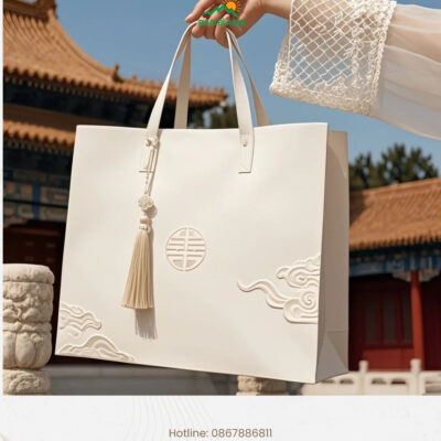 Xưởng In Túi Giấy Theo Yêu Cầu, Cao Cấp, Giá Rẻ, Lấy Ngay TP.HCM