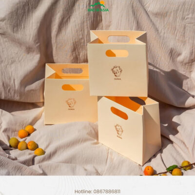 Xưởng In Túi Giấy Theo Yêu Cầu, Cao Cấp, Giá Rẻ, Lấy Ngay TP.HCM