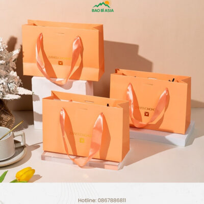 Xưởng In Túi Giấy Theo Yêu Cầu, Cao Cấp, Giá Rẻ, Lấy Ngay TP.HCM