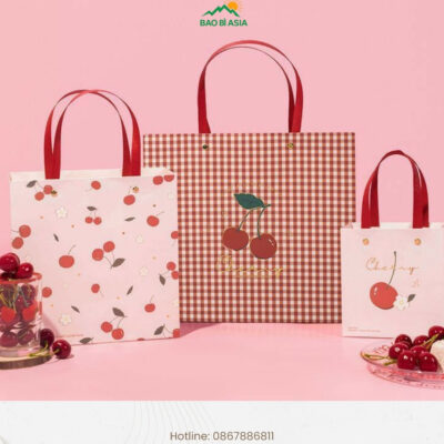 Xưởng In Túi Giấy Theo Yêu Cầu, Cao Cấp, Giá Rẻ, Lấy Ngay TP.HCM
