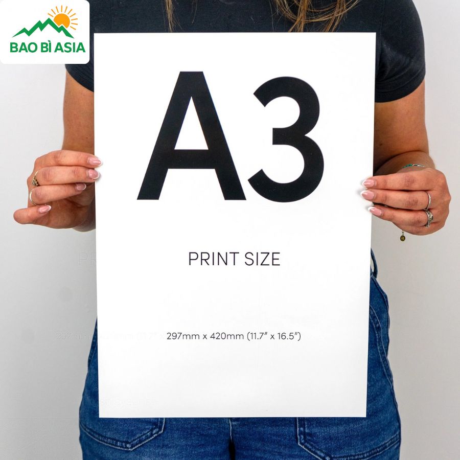 Kích thước giấy A3