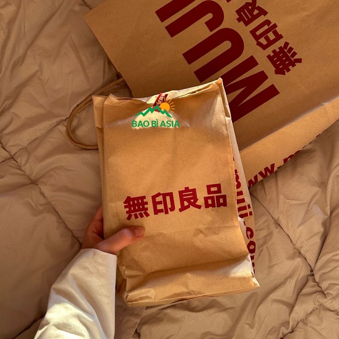 Mẫu túi giấy xi măng đẹp 12