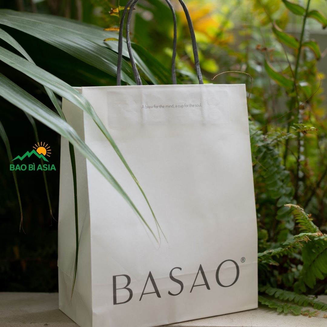 Mẫu túi giấy xi măng đẹp 28