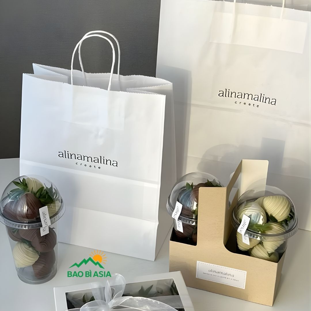 Mẫu túi giấy xi măng đẹp 31