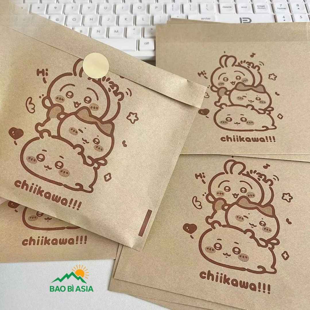 Mẫu túi giấy xi măng đẹp 33