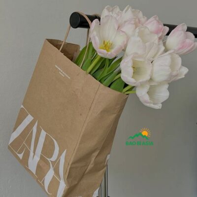 Túi Giấy Xi Măng – 30+ Mẫu In Túi Xi Măng Đẹp, Giá Rẻ, Thân Thiện