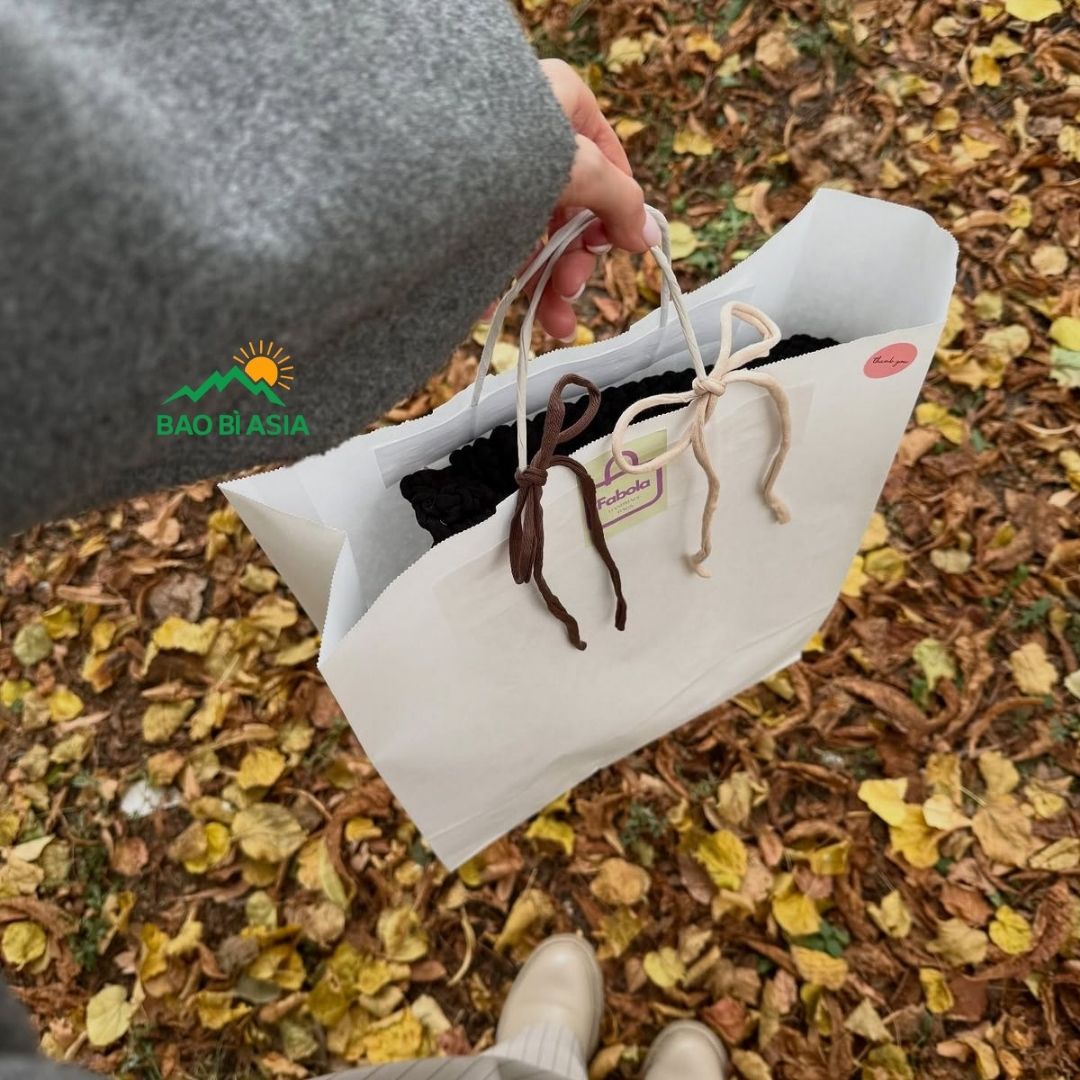 Mẫu túi giấy xi măng đẹp 41