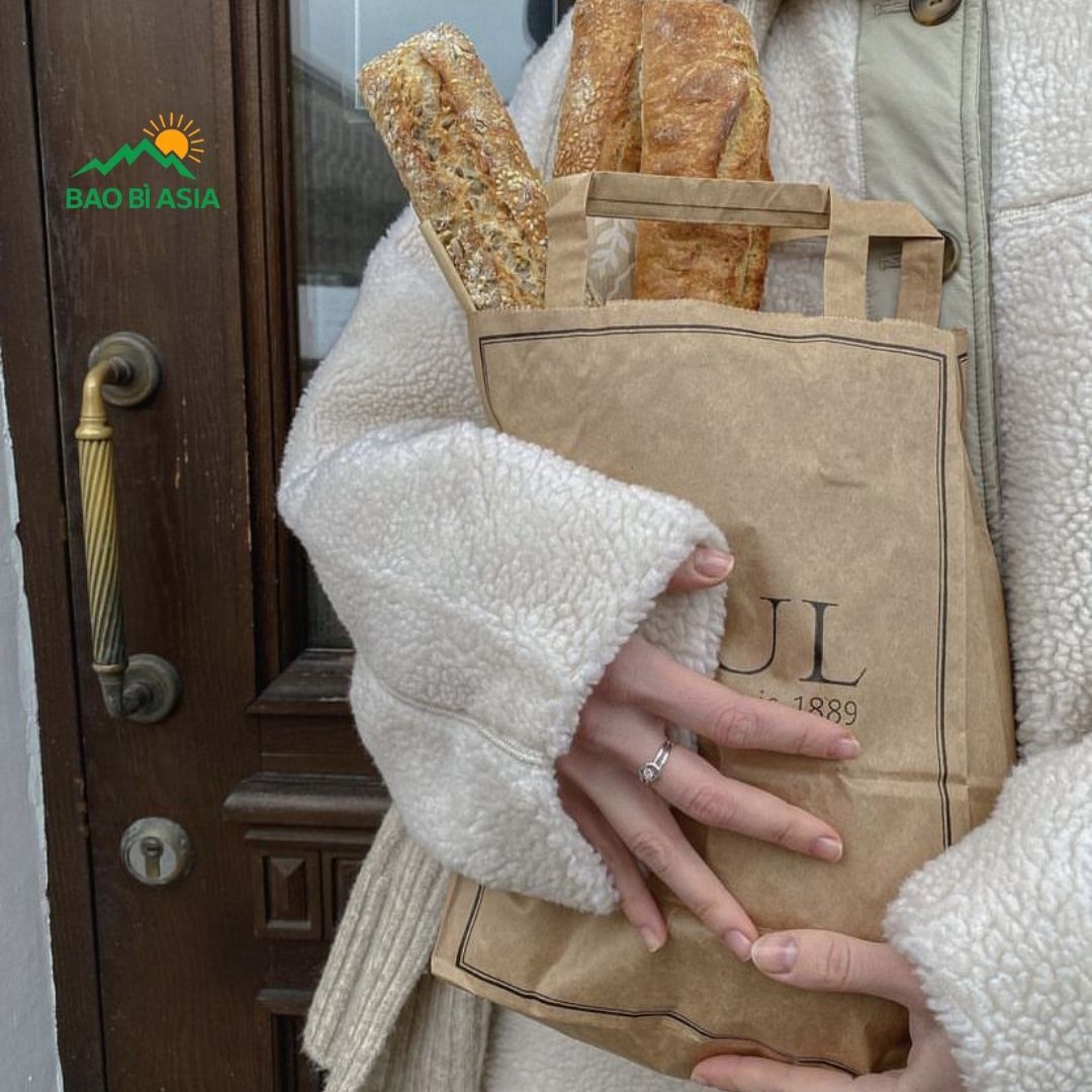 Mẫu túi giấy xi măng đẹp 5