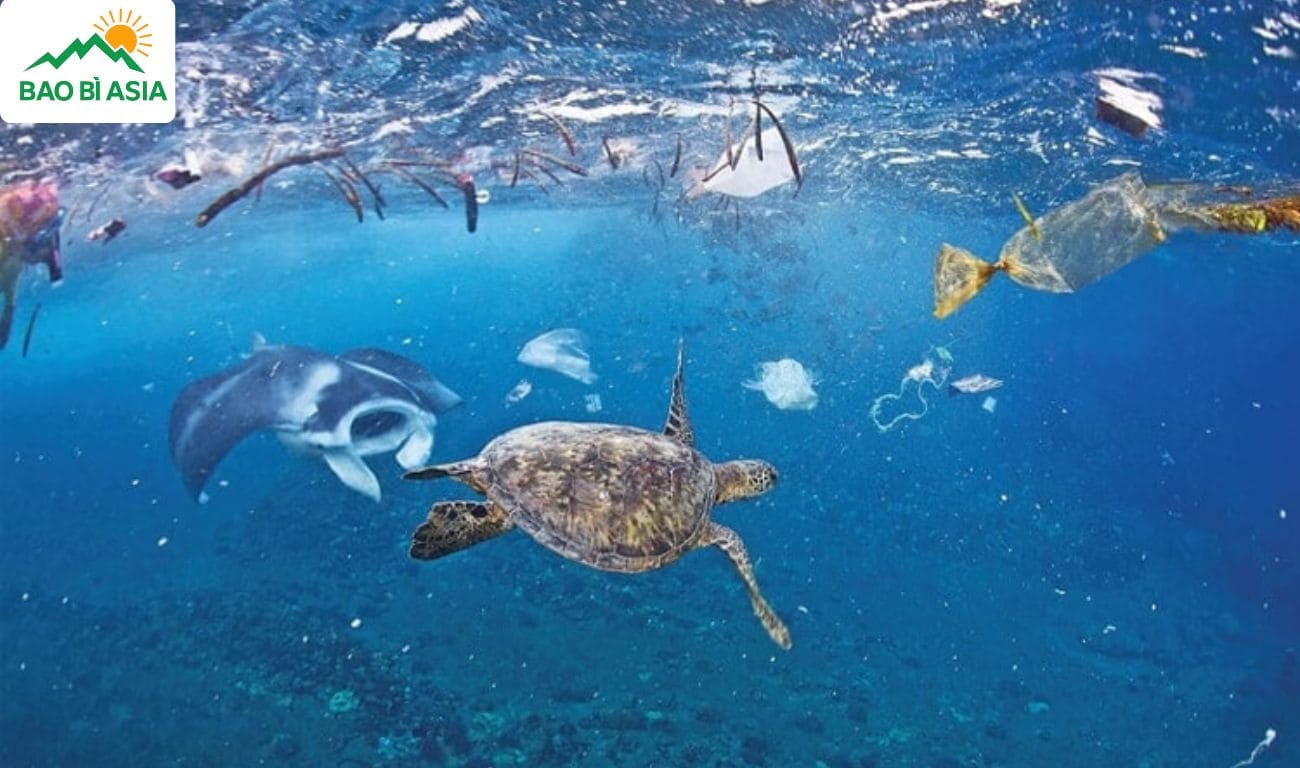 Thông điệp bảo vệ môi trường biển