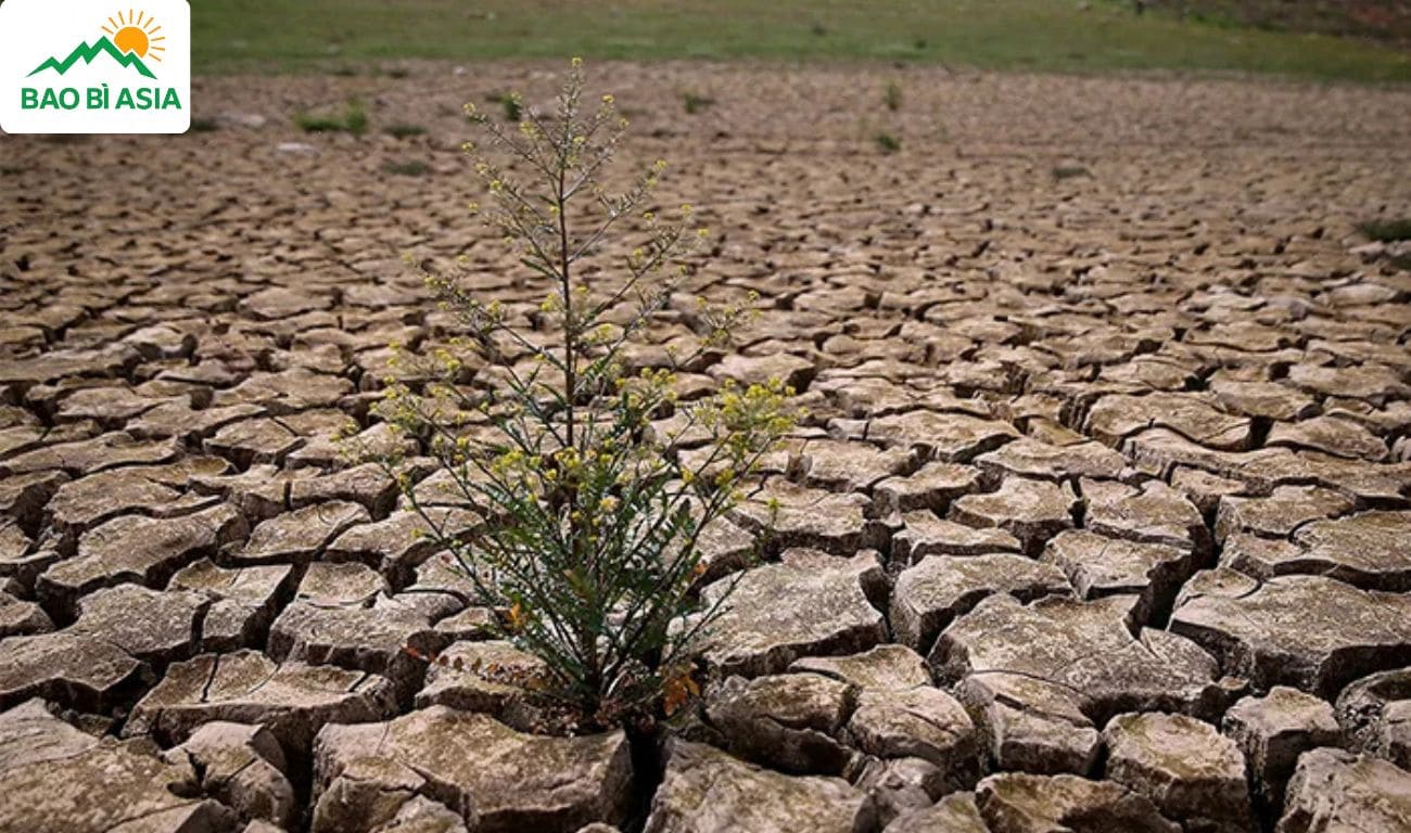 Thông điệp bảo vệ Trái đất