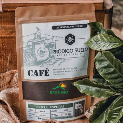 In Túi Giấy Kraft Giá Rẻ, In Nhanh, Chất Lượng Nhất Tại TPHCM