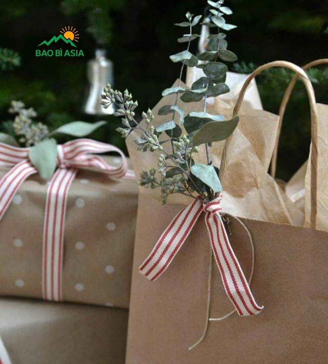 Túi giấy Kraft có quai giấy xoắn 1