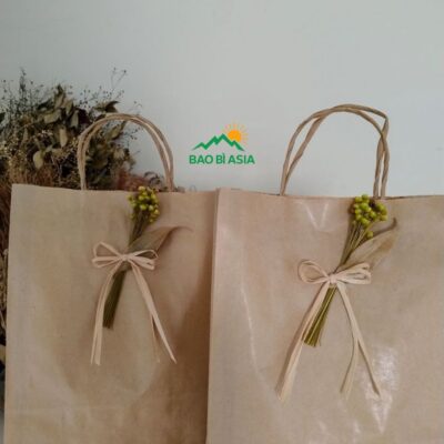In Túi Giấy Kraft Giá Rẻ, In Nhanh, Chất Lượng Nhất Tại TPHCM