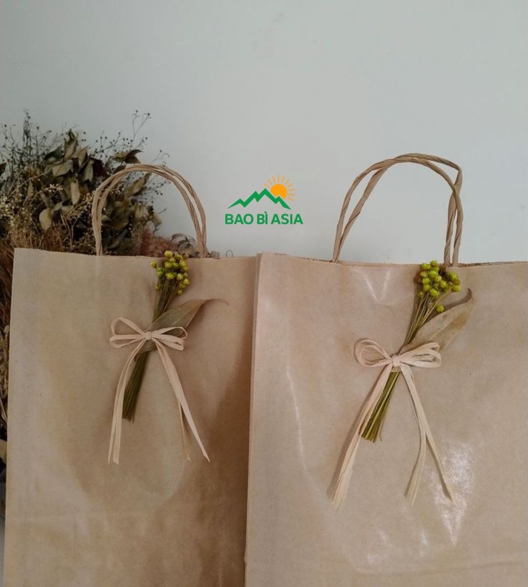 Túi giấy Kraft có quai giấy xoắn 2