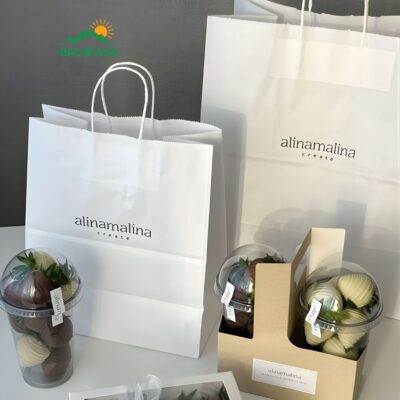 In Túi Giấy Kraft Giá Rẻ, In Nhanh, Chất Lượng Nhất Tại TPHCM