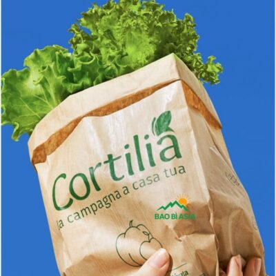 In Túi Giấy Kraft Giá Rẻ, In Nhanh, Chất Lượng Nhất Tại TPHCM