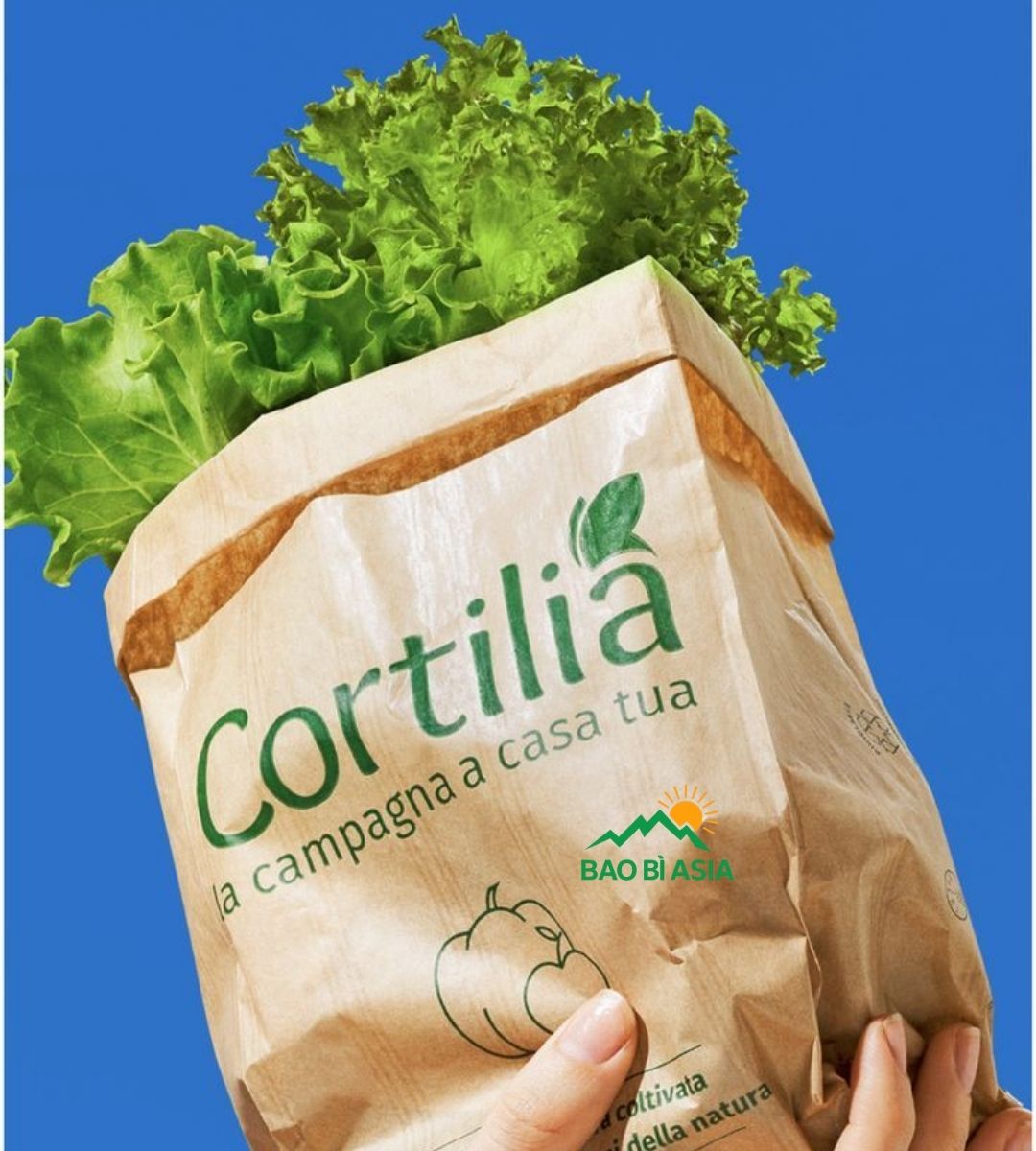 Túi giấy Kraft đẹp 11