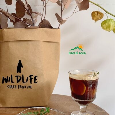In Túi Giấy Kraft Giá Rẻ, In Nhanh, Chất Lượng Nhất Tại TPHCM