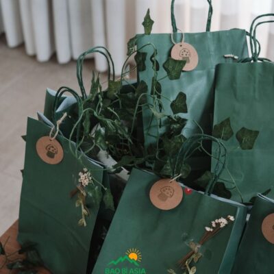 In Túi Giấy Kraft Giá Rẻ, In Nhanh, Chất Lượng Nhất Tại TPHCM