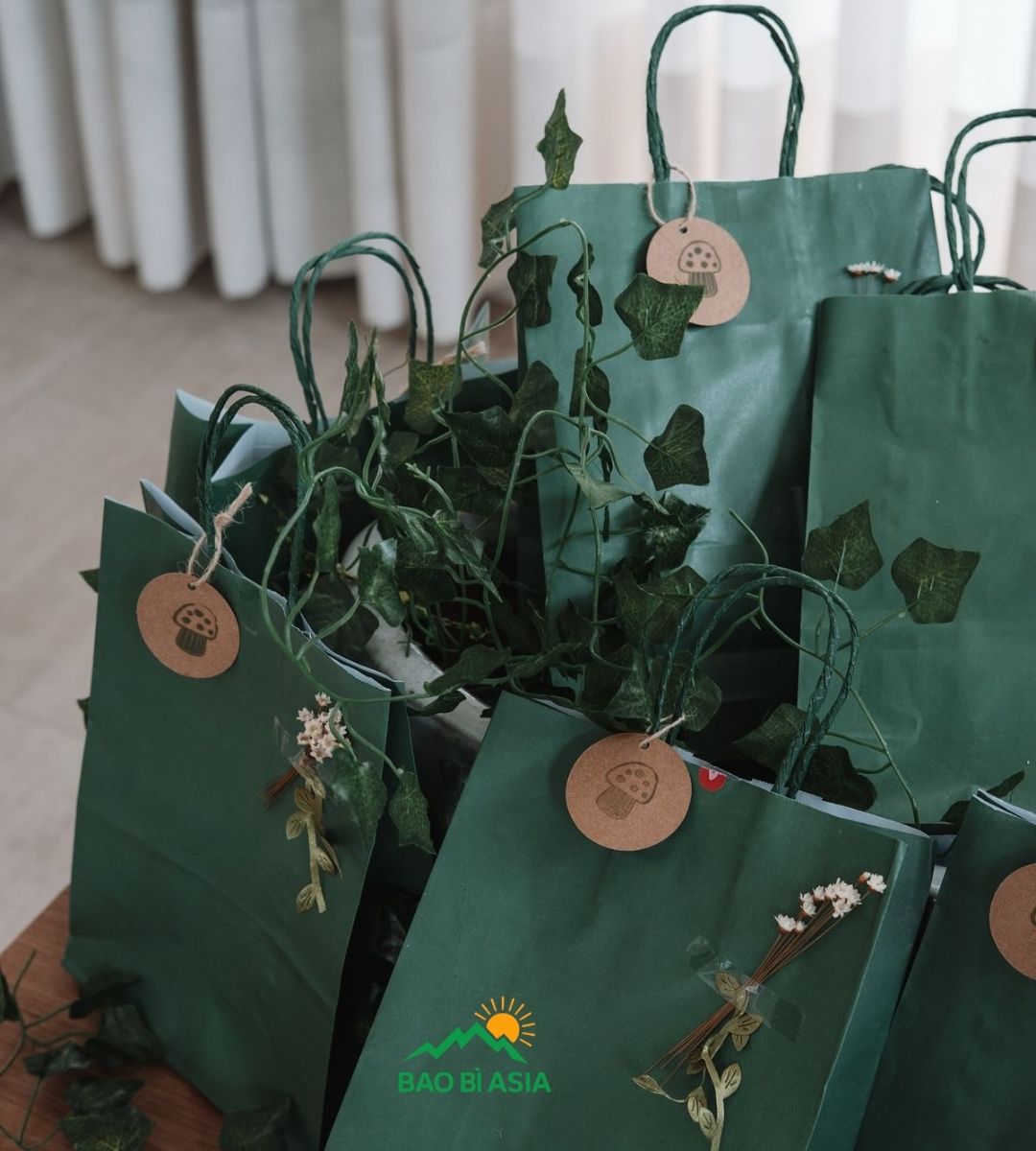 Túi giấy Kraft đẹp 17