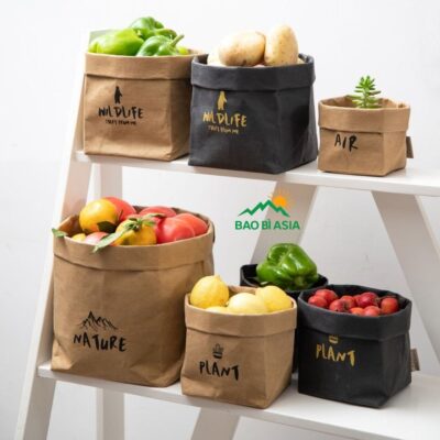 In Túi Giấy Kraft Giá Rẻ, In Nhanh, Chất Lượng Nhất Tại TPHCM