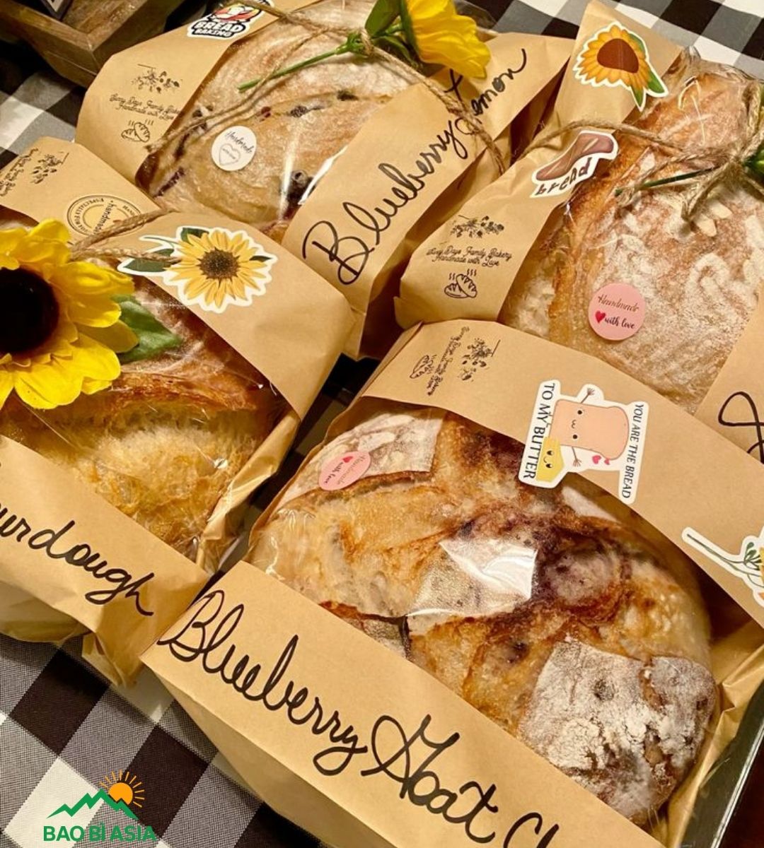 Túi giấy Kraft đẹp 38