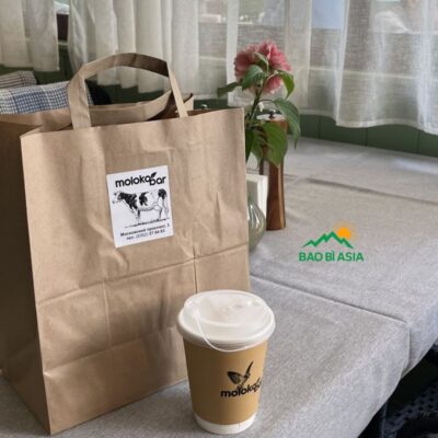 In Túi Giấy Kraft Giá Rẻ, In Nhanh, Chất Lượng Nhất Tại TPHCM