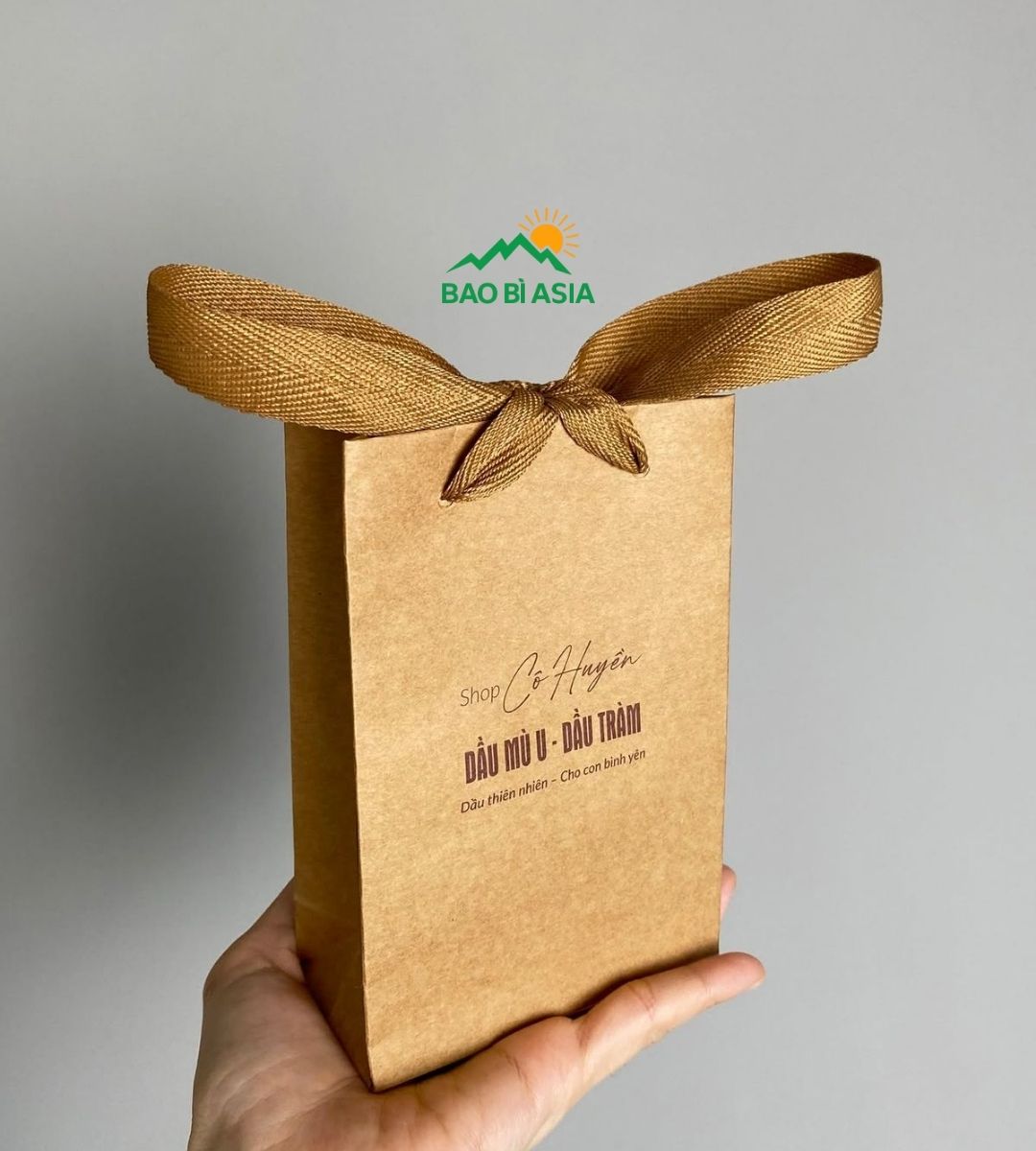 Túi giấy Kraft quai cotton hoặc quai ruy băng 1