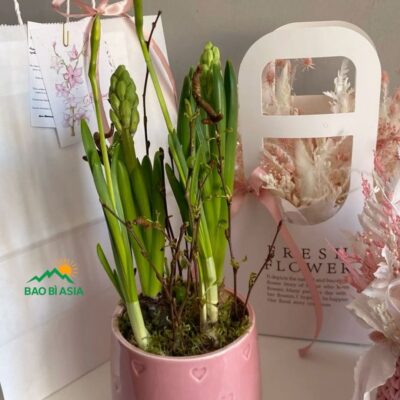 In Túi Giấy Kraft Giá Rẻ, In Nhanh, Chất Lượng Nhất Tại TPHCM